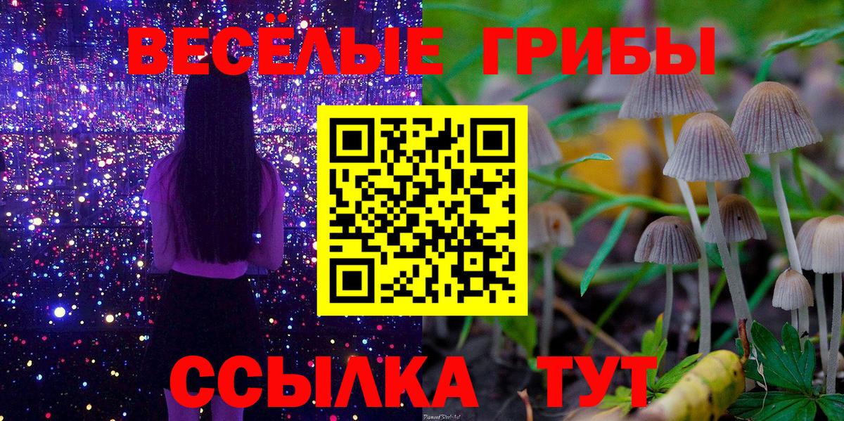 Псилоцибиновые грибы прущие грибы  Вход с VPN  Петрозаводск  Псилоцибиновые грибы GOLDEN TEACHER 